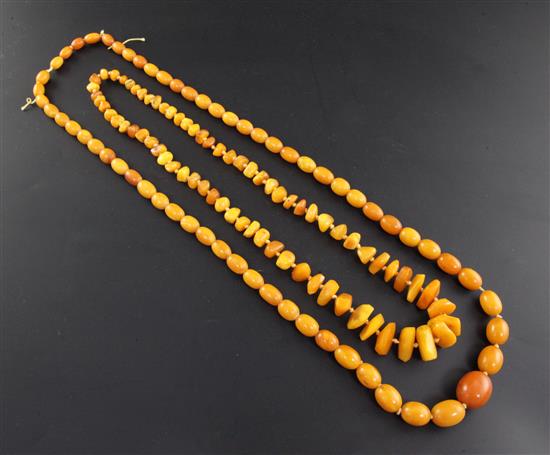 Two single strand amber bead necklaces, one with graduated oval beads, 36in.